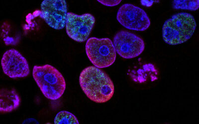 The Mystery of Life’s Origin