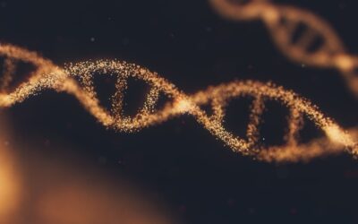 Did Life Begin as Information?